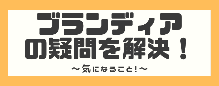 完全版 ブランディアの評判や口コミは ブランド品買取のやり方も解説 しまうまブログ